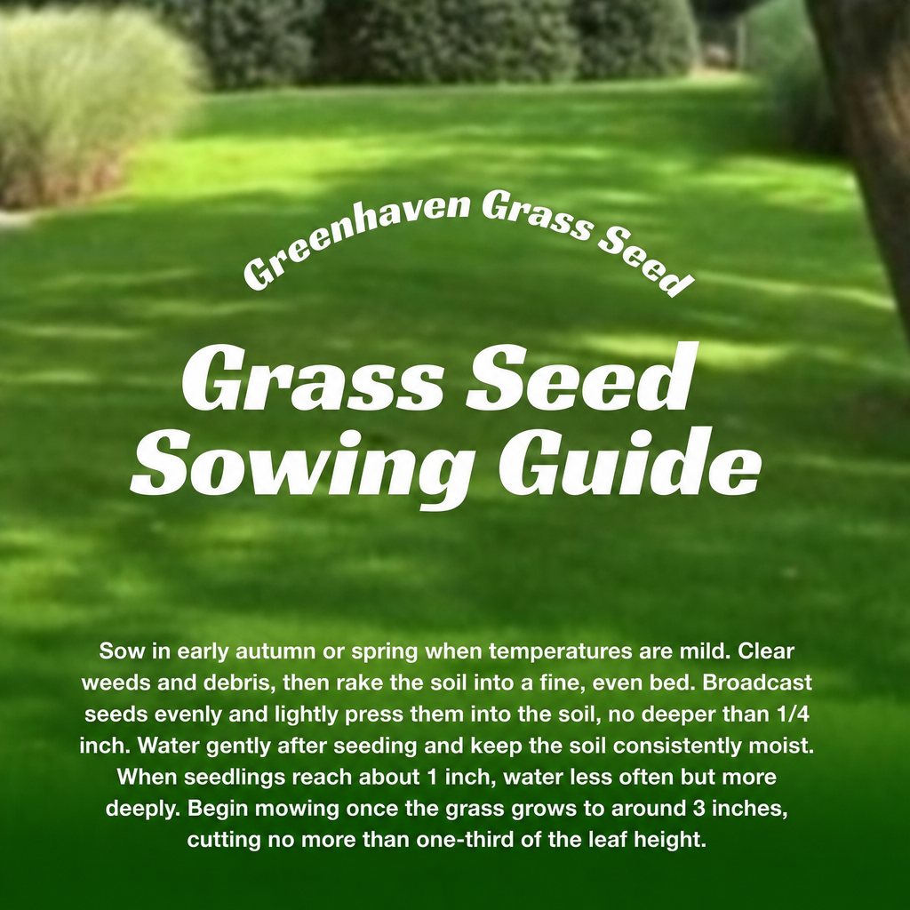Cold Hardy Fall Grass Seed