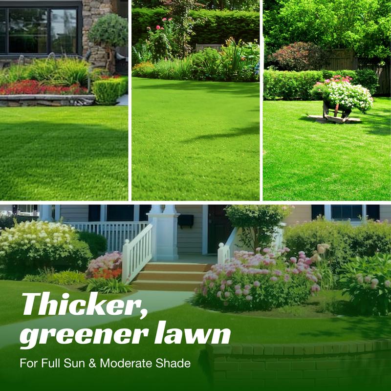 Cold Hardy Fall Grass Seed