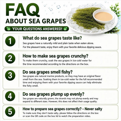Greenhaven Dehydrated Sea Grapes - 6 Packs